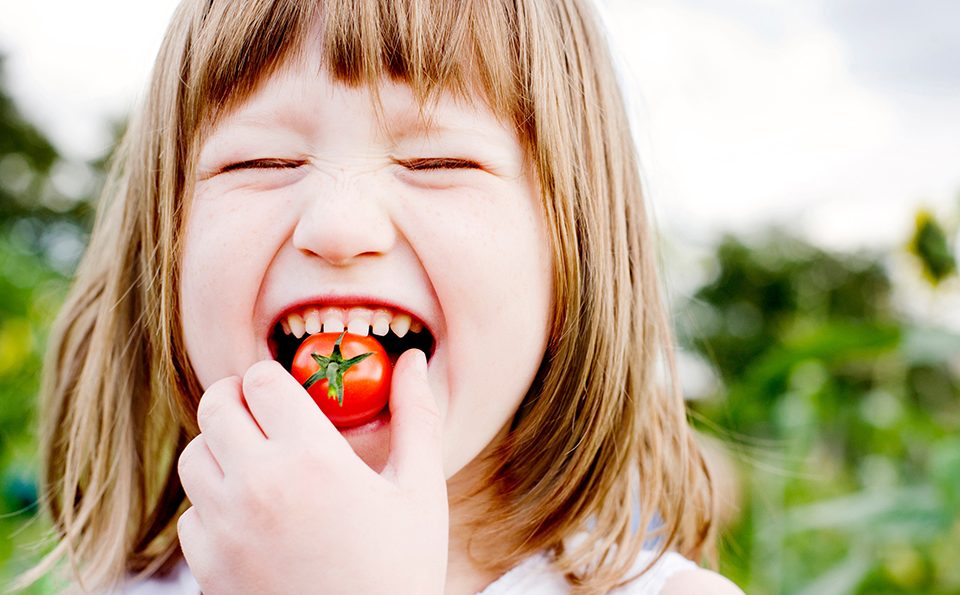 Cada vez mais, a sociedade debate sobre boa alimentação. No meio desse debate, faz-se constantemente referência aos alimentos orgânicos. No artigo de hoje, vamos falar sobre as vantagens dos alimentos orgânicos para crianças.